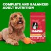 Health Minichunks Dry Dog Food With Real Lamb & Rice, 15 Lb. Bag